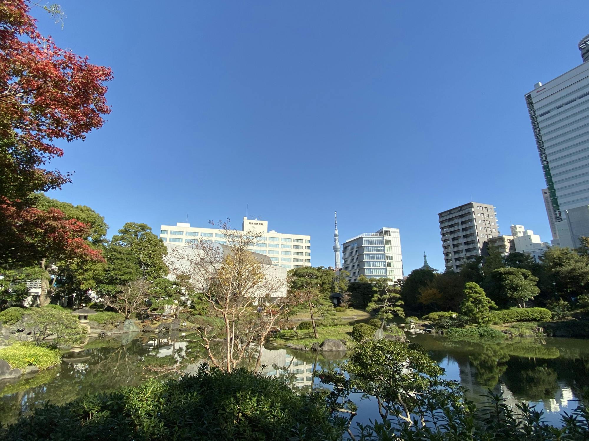 COURTESY OF AASHI MENDPARA
Mendpara’s three-month stay in Japan taught her the importance of food in her relationships with others.