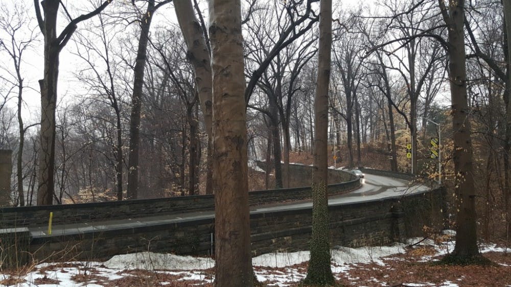  KAREEM OSMAN/PHOTOGRAPHY EDITOR
San Martin Drive will soon have a pathways for pedestrians and bikers along its entire length. Where the road is too narrow for sidewalks, a pedestrian bridge will be built.