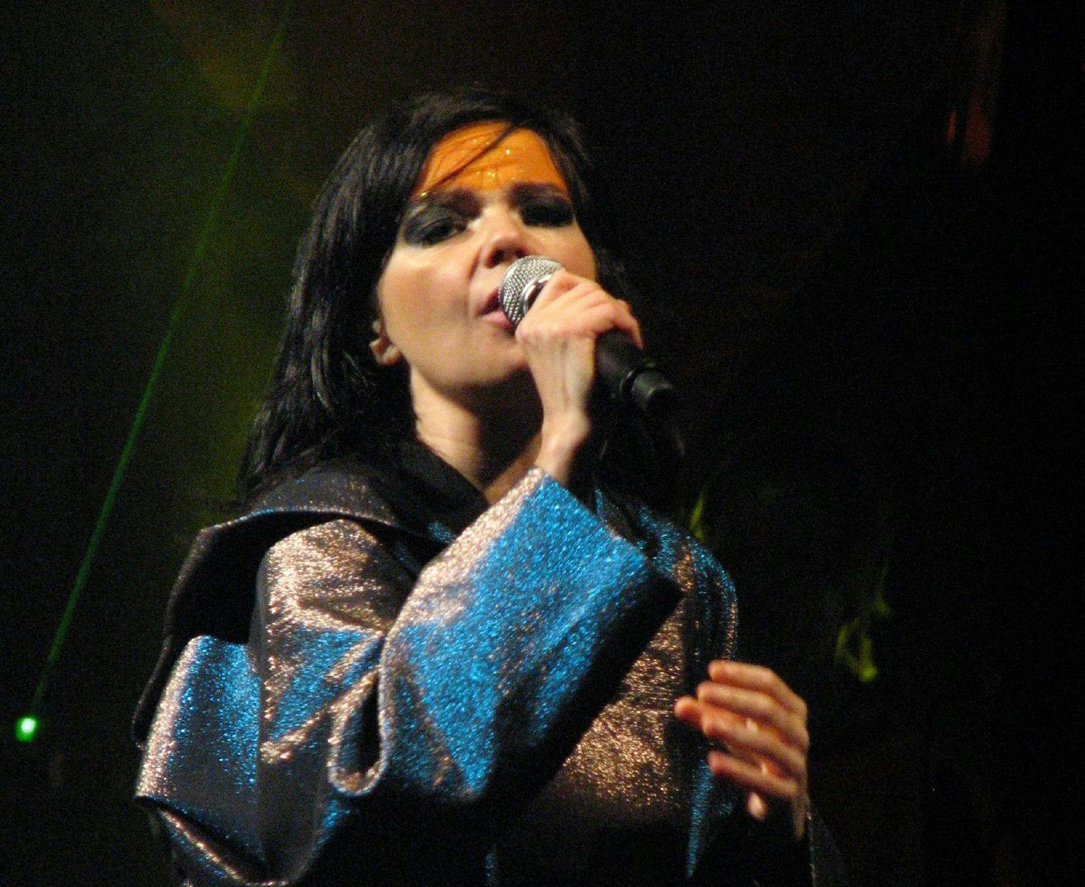 J HAYNE / CC BY 2.0
Shibuya reviews Icelandic singer-songwriter Björk’s new album Fossora and its place in her discography.