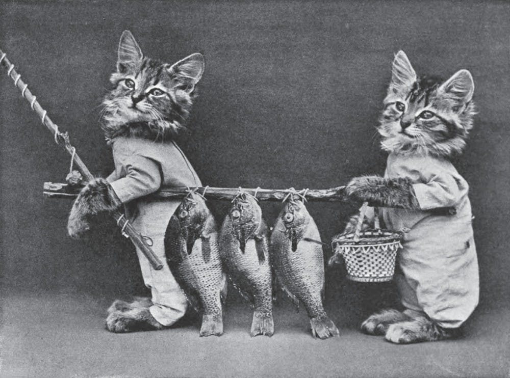 Harry W. Frees/Wikimedia Commons
Two cats carry a line of dead fish. Frees actually staged the kittens with the props and costumes.