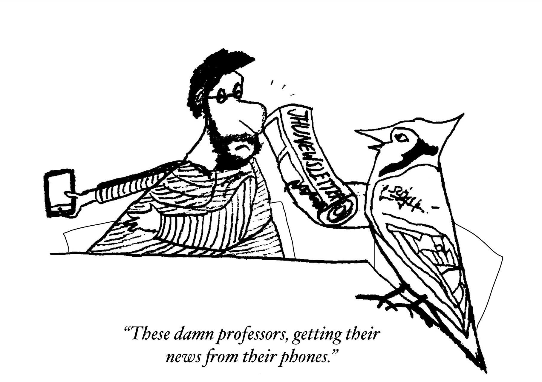 SHOURYA ARASHANAPALLI / DESIGN STAFF