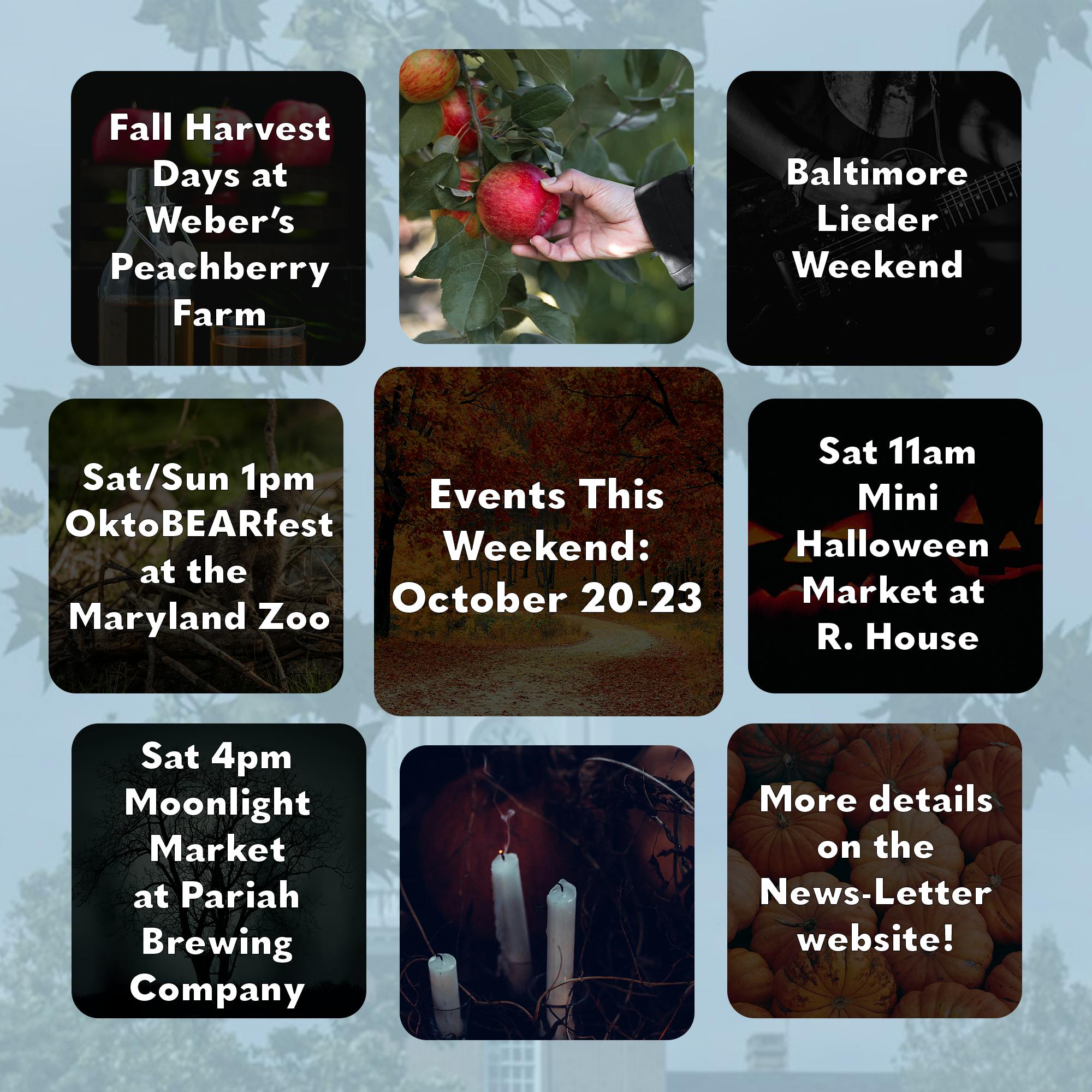 COURTESY OF JOHN D’CRUZ, GRAPHICS EDITOR
To help you enjoy your extra days of break, our Leisure Editor has compiled some great markets, concerts and day trip ideas.