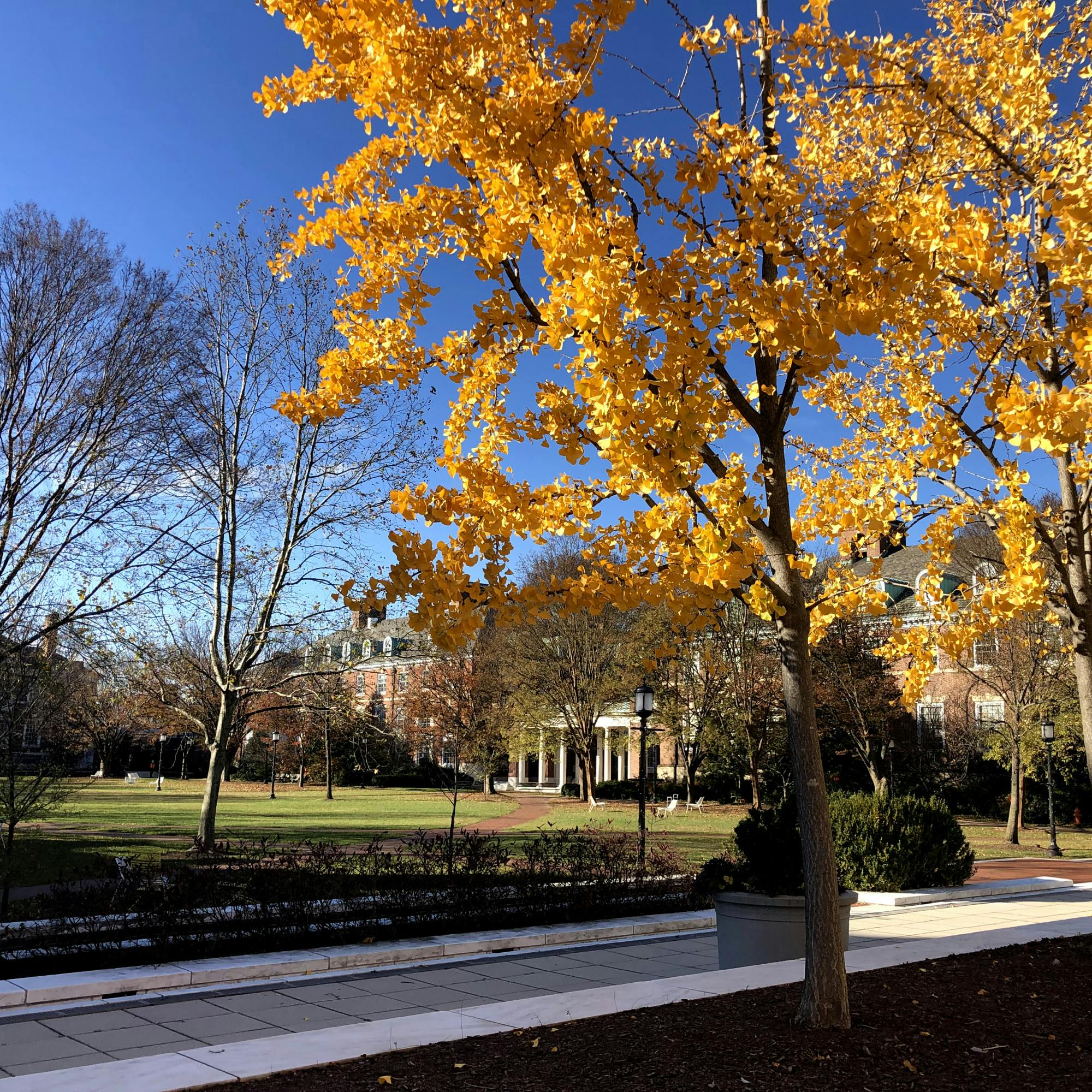 COURTESY OF CHRIS H. PARK
A Planned Parenthood–affiliated student organization hosted activists to discuss barriers to reproductive care.