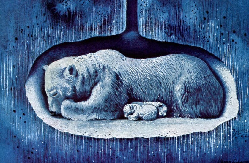 DOK1 / CC BY 2.0
Finkelstein talks about her attempts to overcome seasonal depression and enjoy winter.