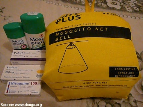 COURTESY OF WWW.DONGO.ORG
Researchers say that eradicating malaria would create economic benefits.