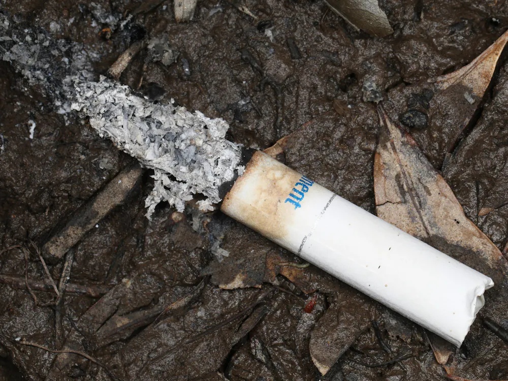 JUDY GALLAGHER / CC BY 2.0
Cigarette butts, in number, are the most common form of litter found in beach clean-ups. 