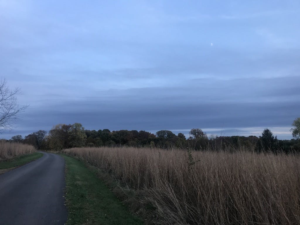 COURTESY OF DAVID BAIK
Baik takes weekly walks at the Gwynedd Preserve near his house.