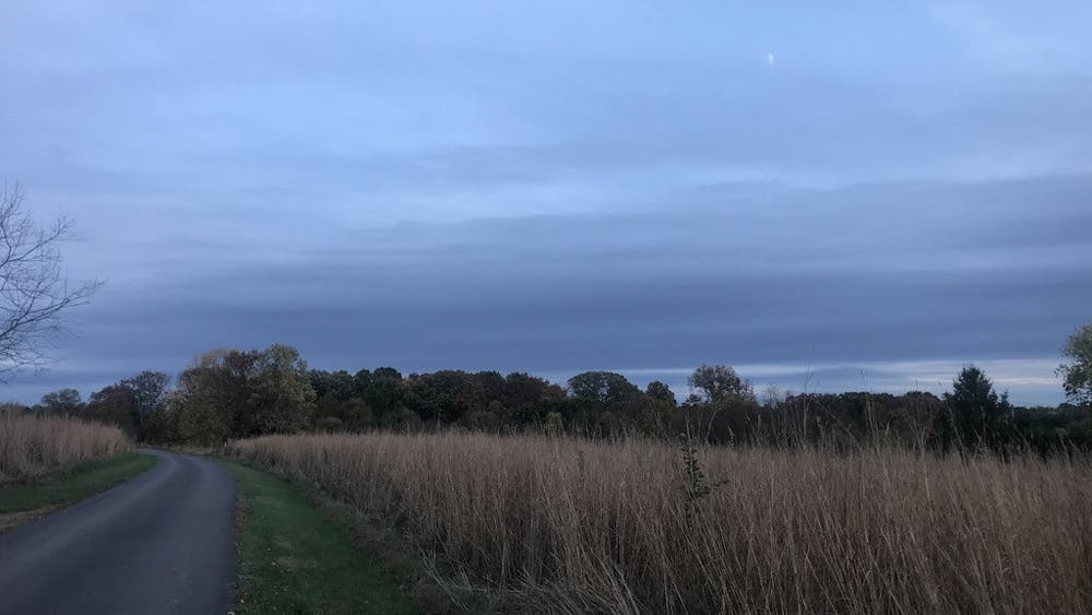 COURTESY OF DAVID BAIK
Baik takes weekly walks at the Gwynedd Preserve near his house.