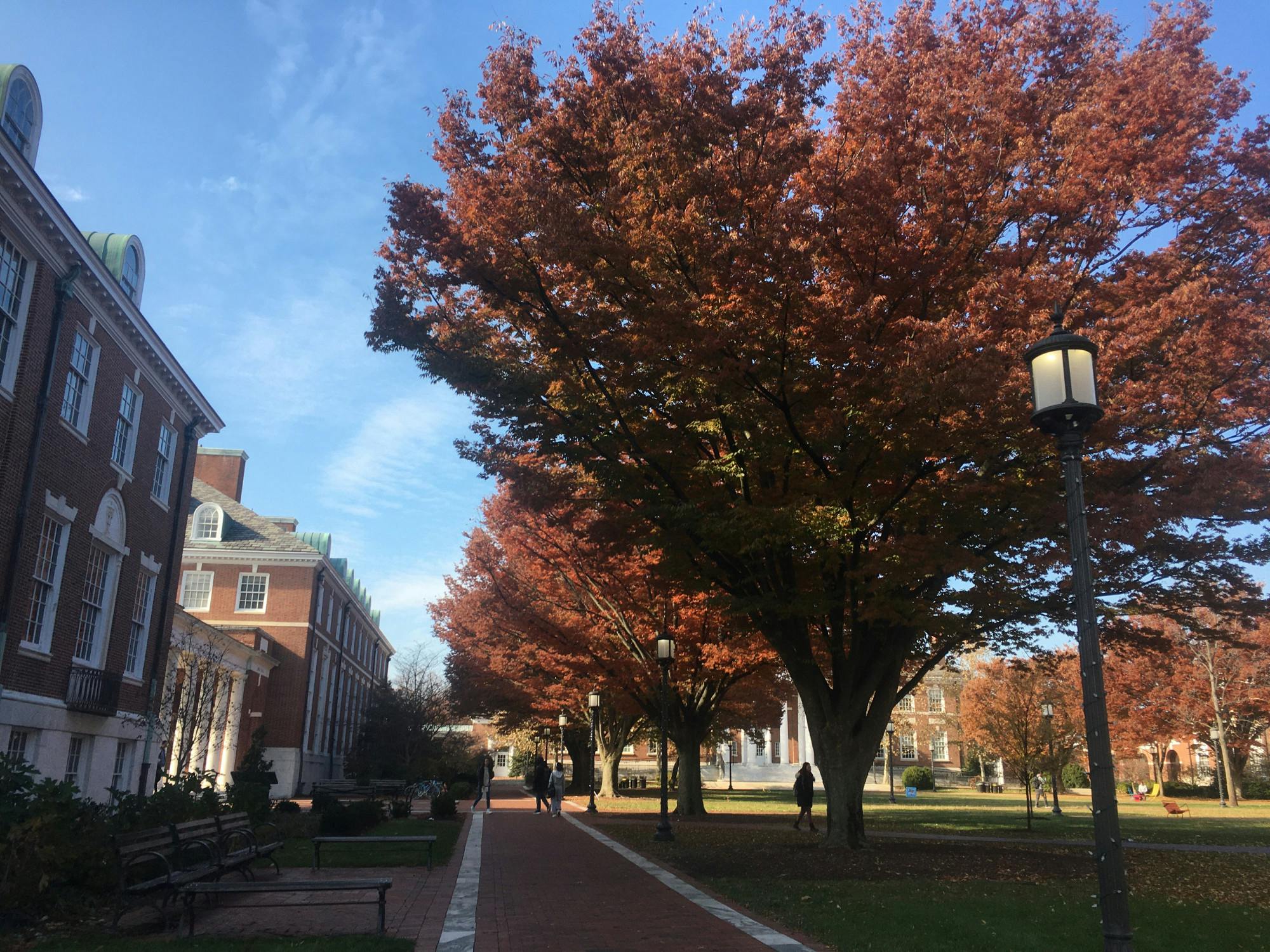 COURTESY OF MICHELLE LIMPE
While many students have expressed concerns about the University’s plans for re-opening, they do appreciate the University’s efforts to be more transparent.