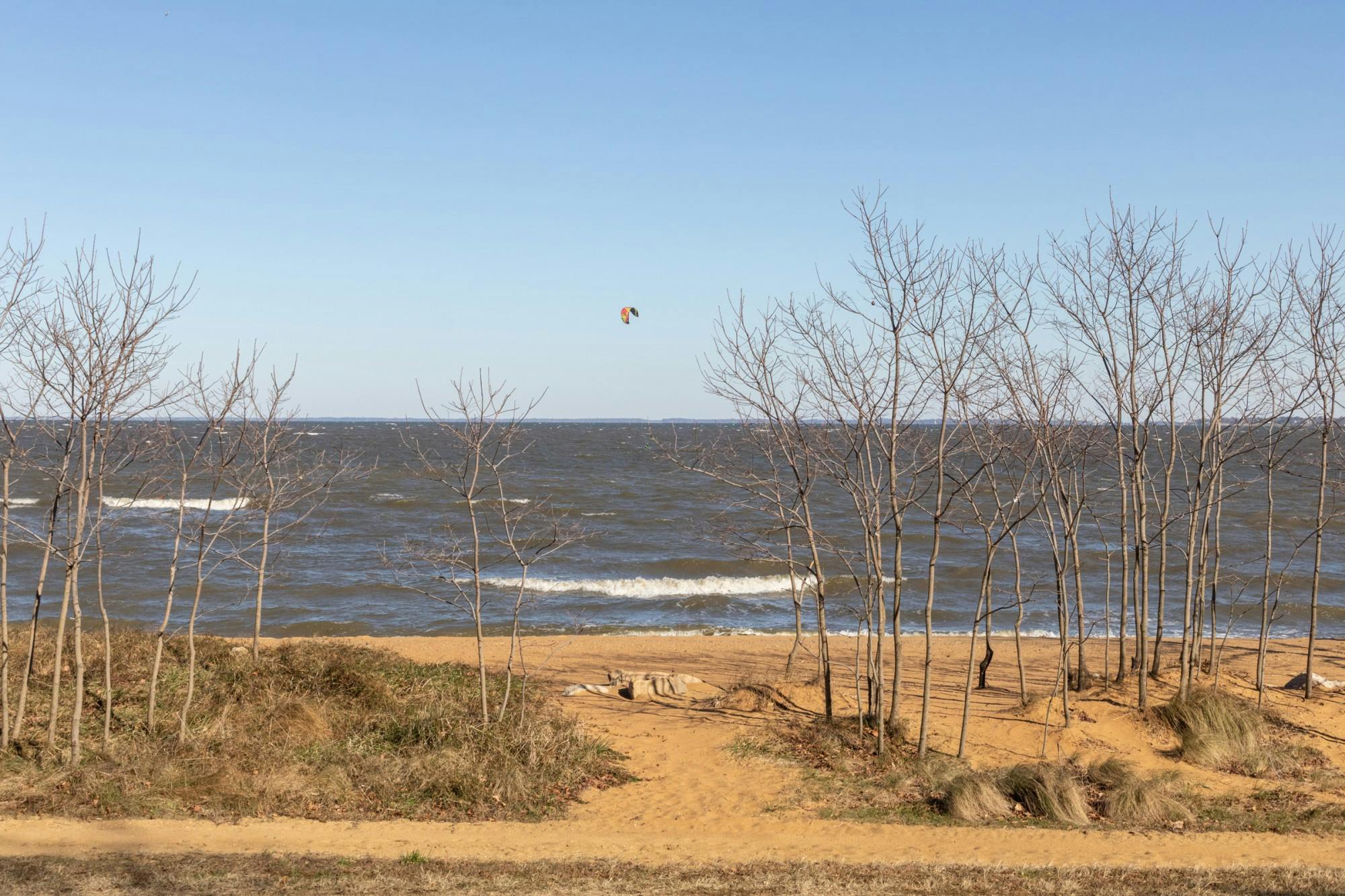 EDA INCEKARA/PHOTOGRAPHY EDITOR