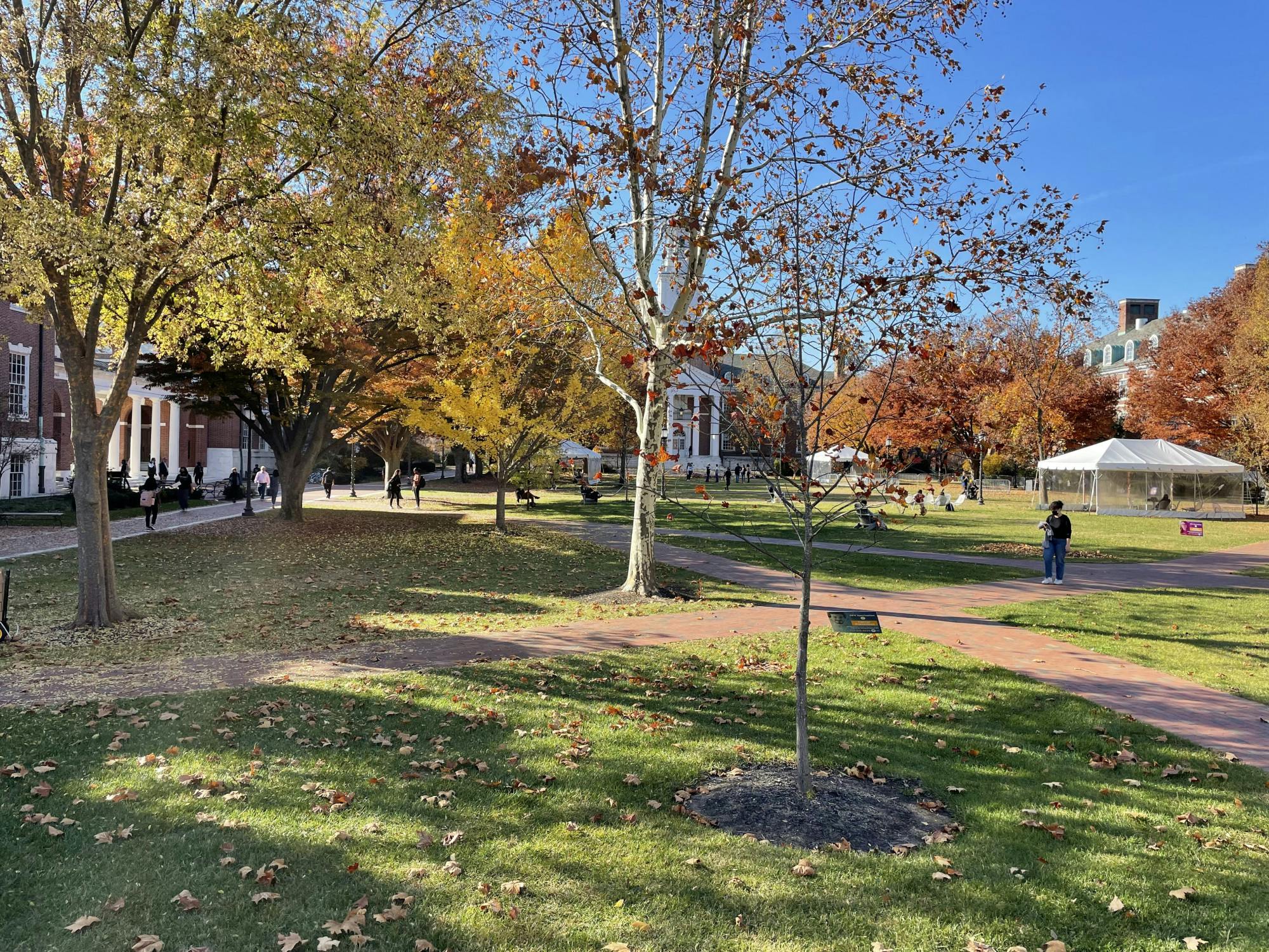 COURTESY OF ISHAN KALBURGE
The University extended its initial deadline for flu vaccination to Dec. 3.&nbsp;