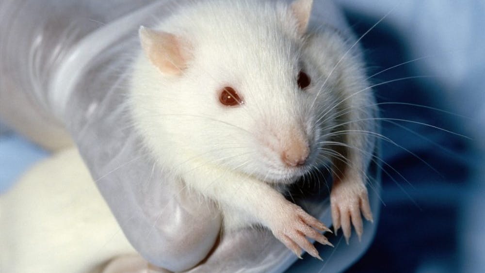 JANET STEPHENS/PUBLIC DOMAIN
Organs-on-chips may dramatically reduce the need for animal testing.