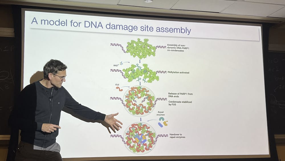 COURTESY OF ALEX PAN
On Thursday, Sept. 11, Simon Alberti delivered a talk on stress granules and their connections to certain diseases.
