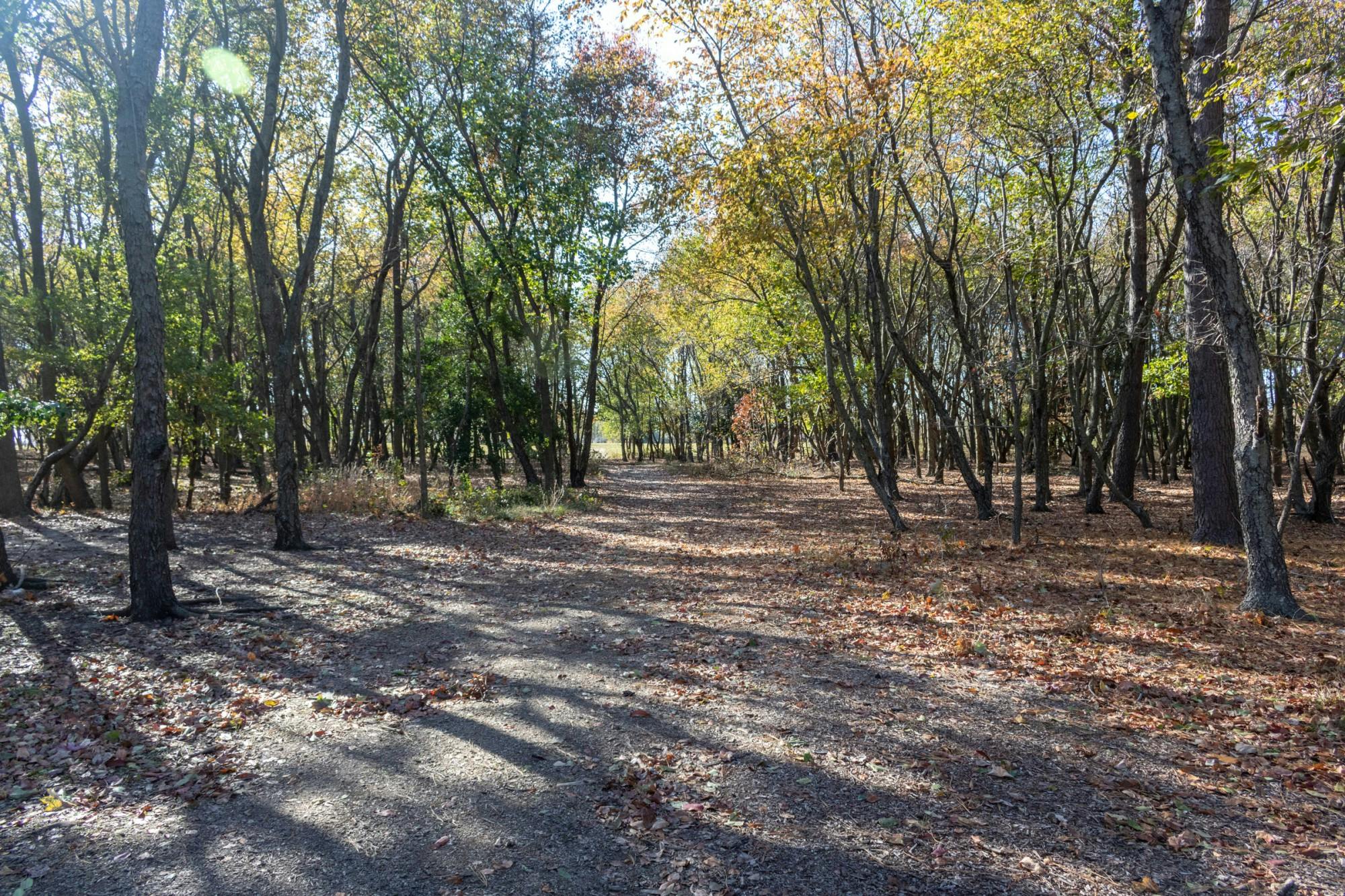 EDA INCEKARA/PHOTOGRAPHY EDITOR