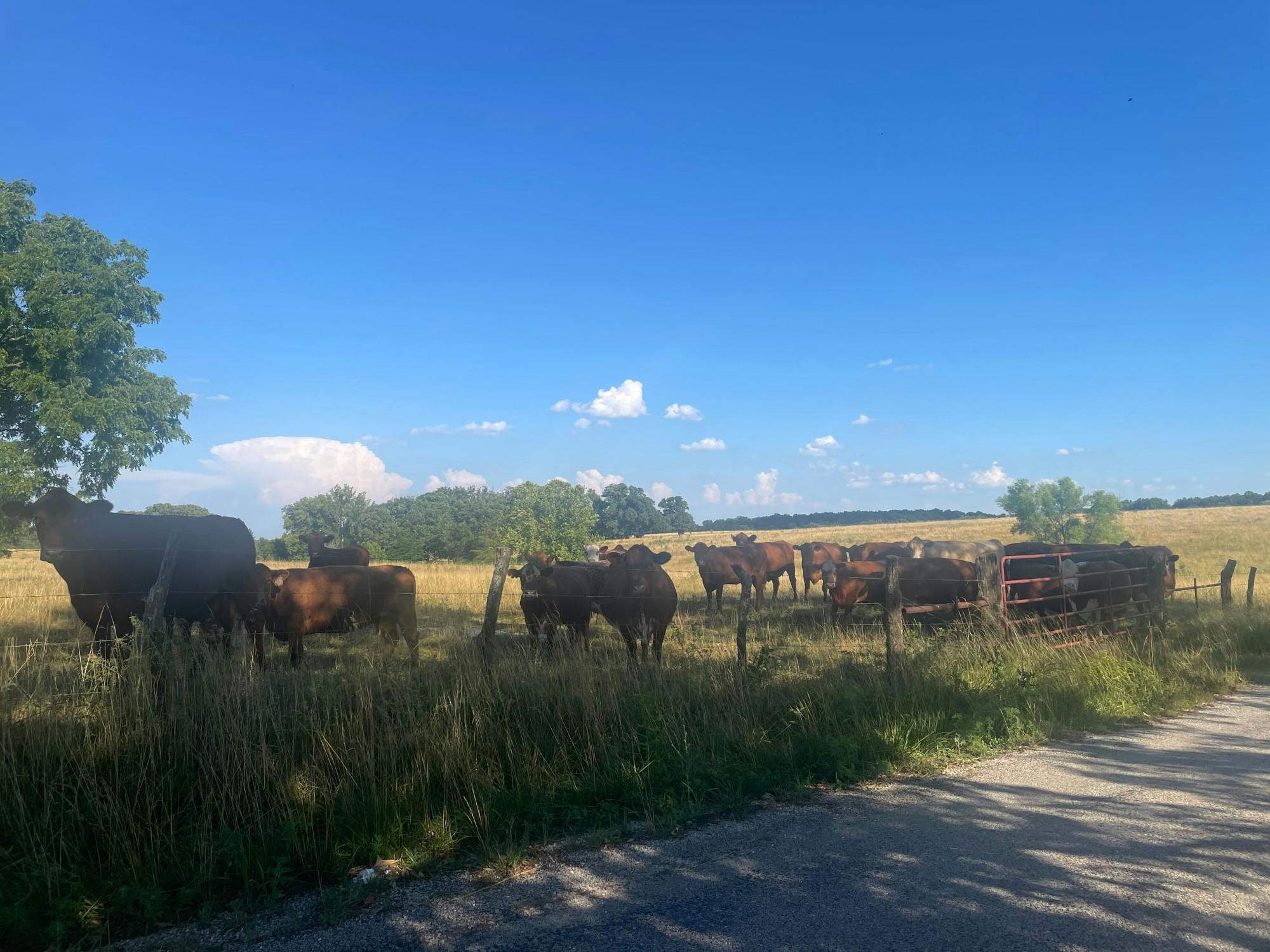 COURTESY OF RILEY STRAIT
Strait reaches back in memory to find an answer to the question of why he's chosen to be a writer.