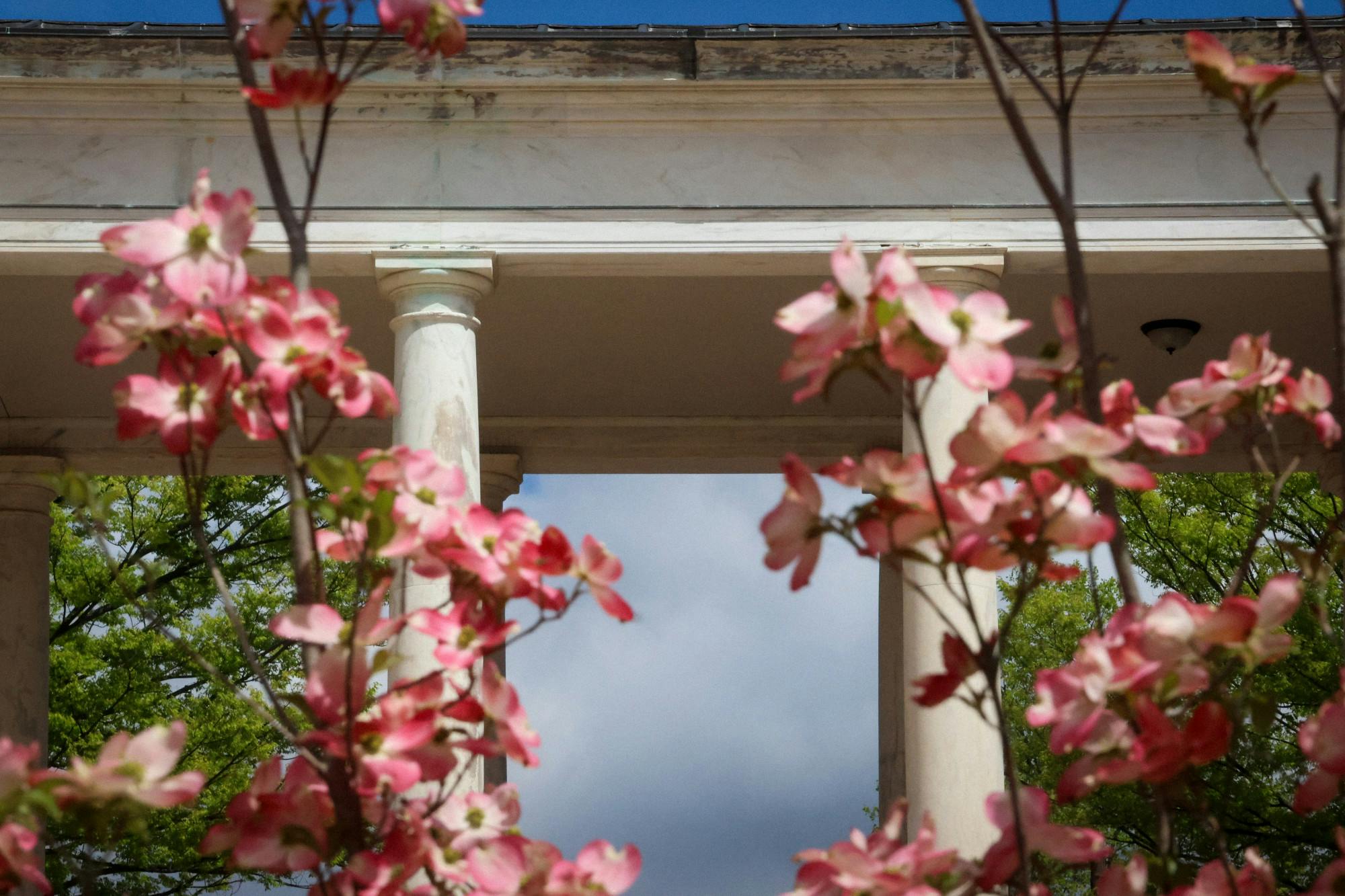 COURTESY OF STEVEN SIMPSON
SGA outlined the procedures members need to follow when they want to start new projects.