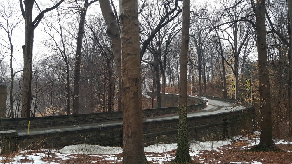 KAREEM OSMAN/PHOTOGRAPHY EDITOR
San Martin Drive will soon have a pathways for pedestrians and bikers along its entire length. Where the road is too narrow for sidewalks, a pedestrian bridge will be built.