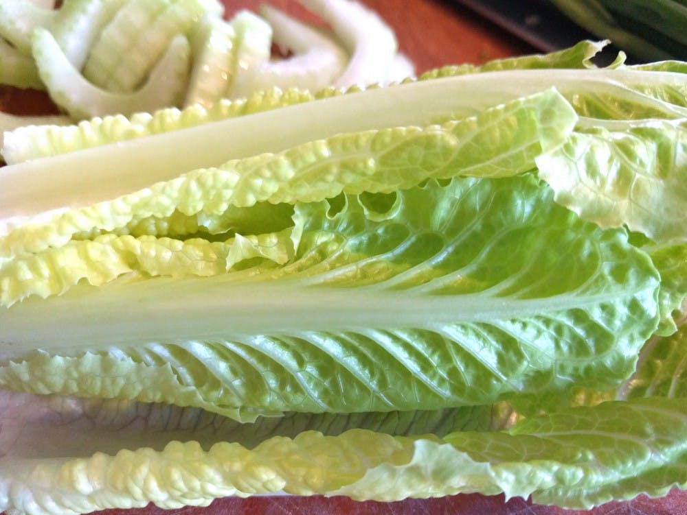 B9_lettuce