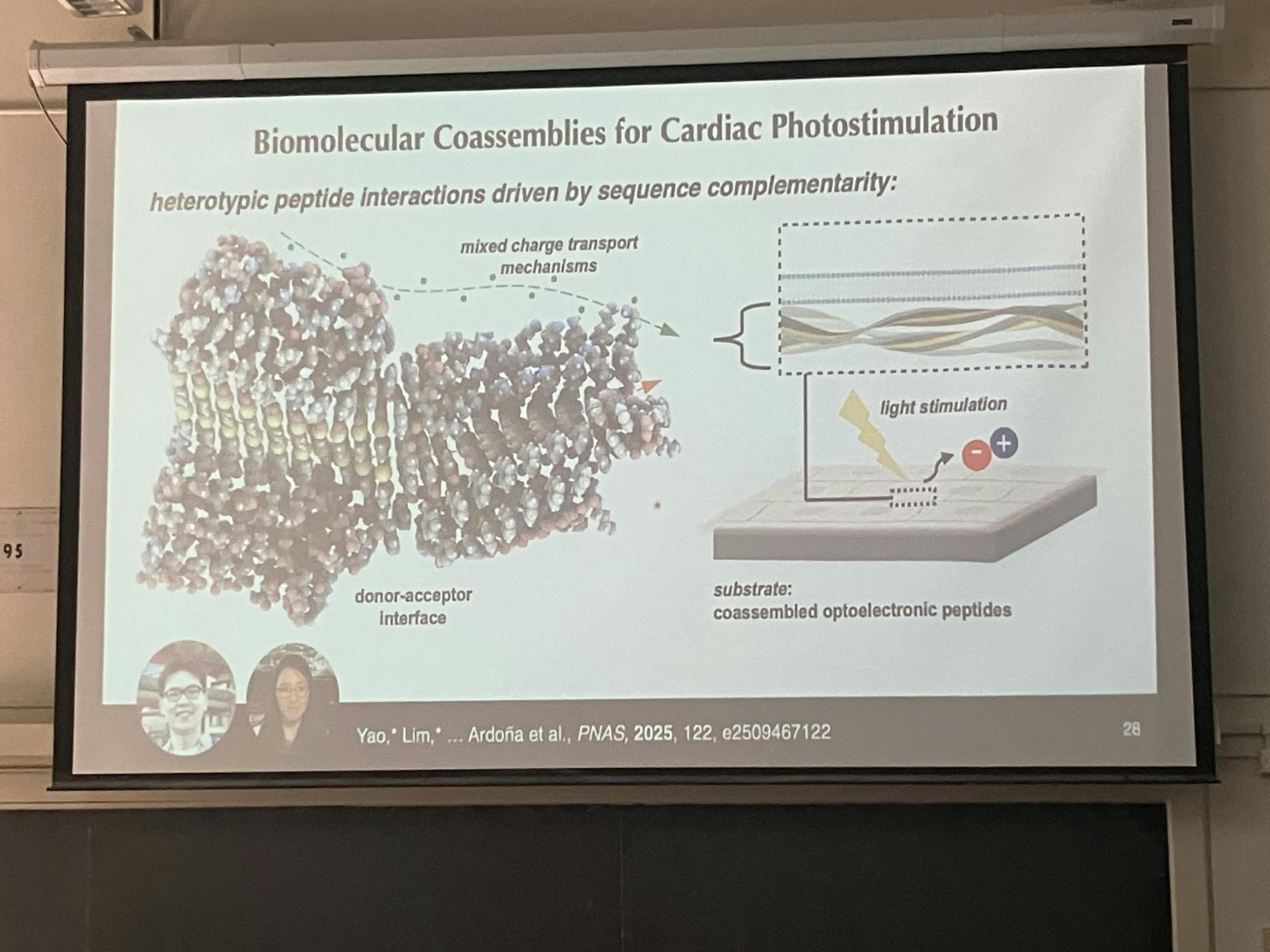 COURTESY OF AMELIA JOSEPH
On April 7, the Department of Chemistry welcomed Herdeline Ann "Digs" Ardoña for a seminar titled "Precision engineering of macromolecular systems as transducer biomaterials."