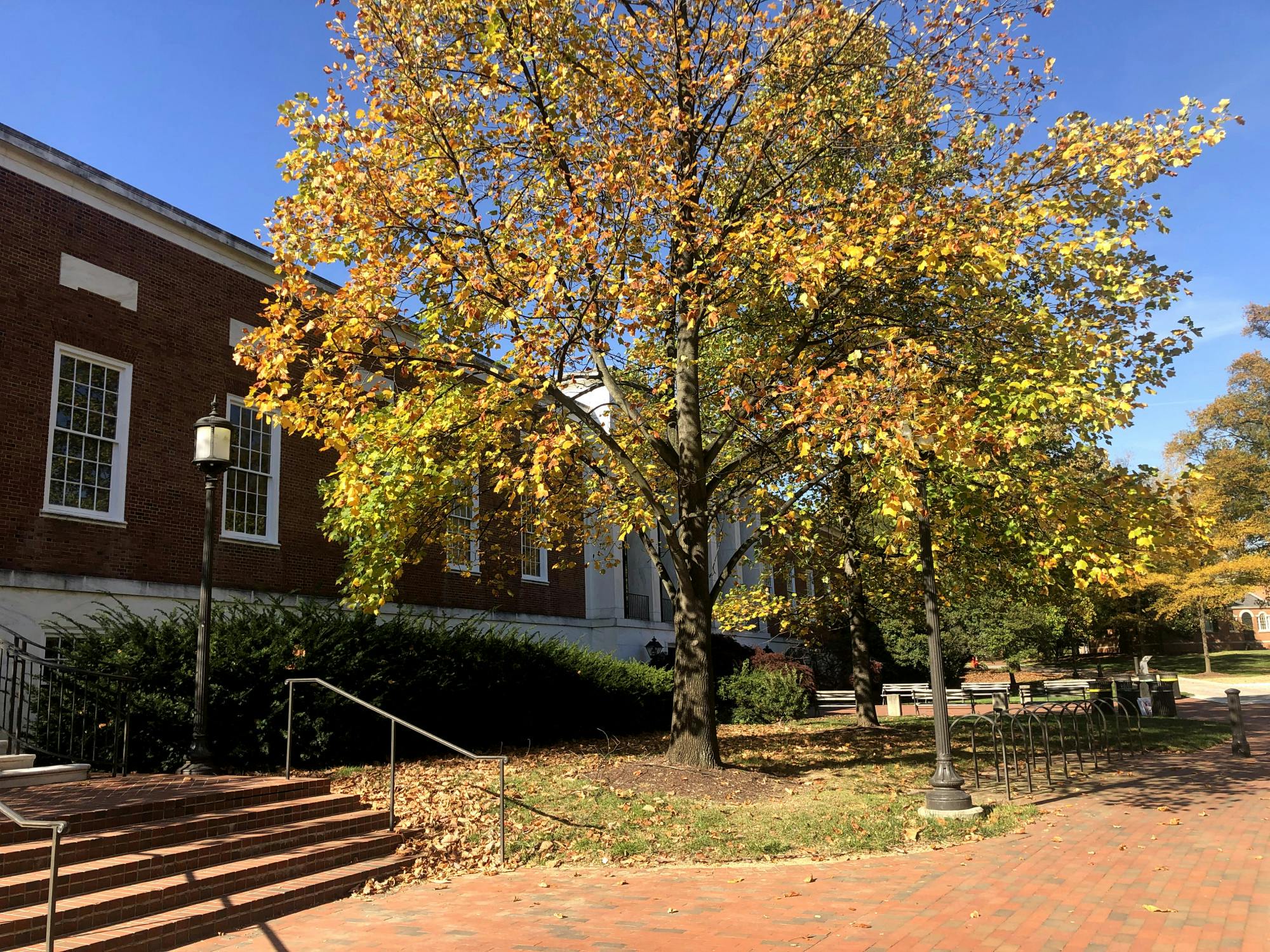 COURTESY OF CHRIS H. PARK
Electric scooter sharing company Spin has approached SGA and the University to discuss installing charging hubs on campus.