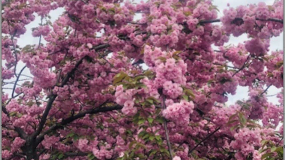 COURTESY OF AMELIA ISAACS
In her first year of high school, Isaacs went on an exchange trip to Washington, D.C.