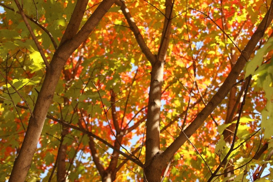 FILE PHOTO
With fall in full swing, Paulisich uses this time to explore his attitudes toward change.