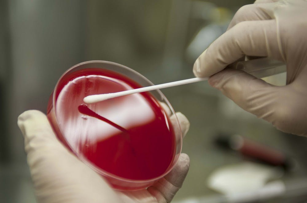 Public Domain
Scientists have found a way to grow blood vessels in a petri dish, making research easier.