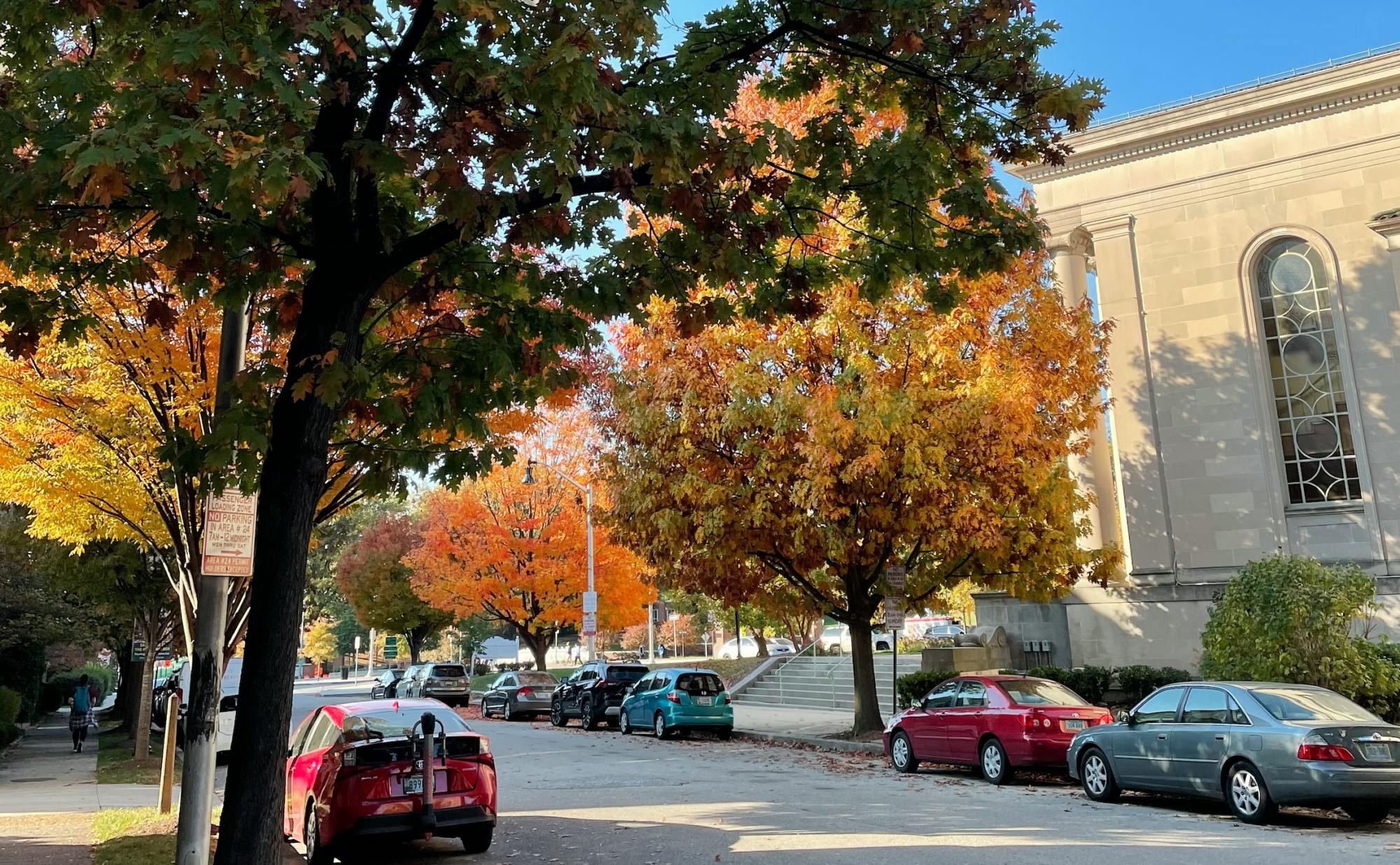 COURTESY OF LEELA GEBO
Spend one more weekend enjoying Baltimore with friends before people head out for Thanksgiving! 