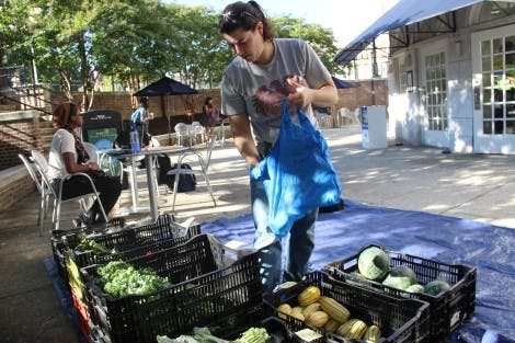  COURTESY OF ADARSHA MALLA