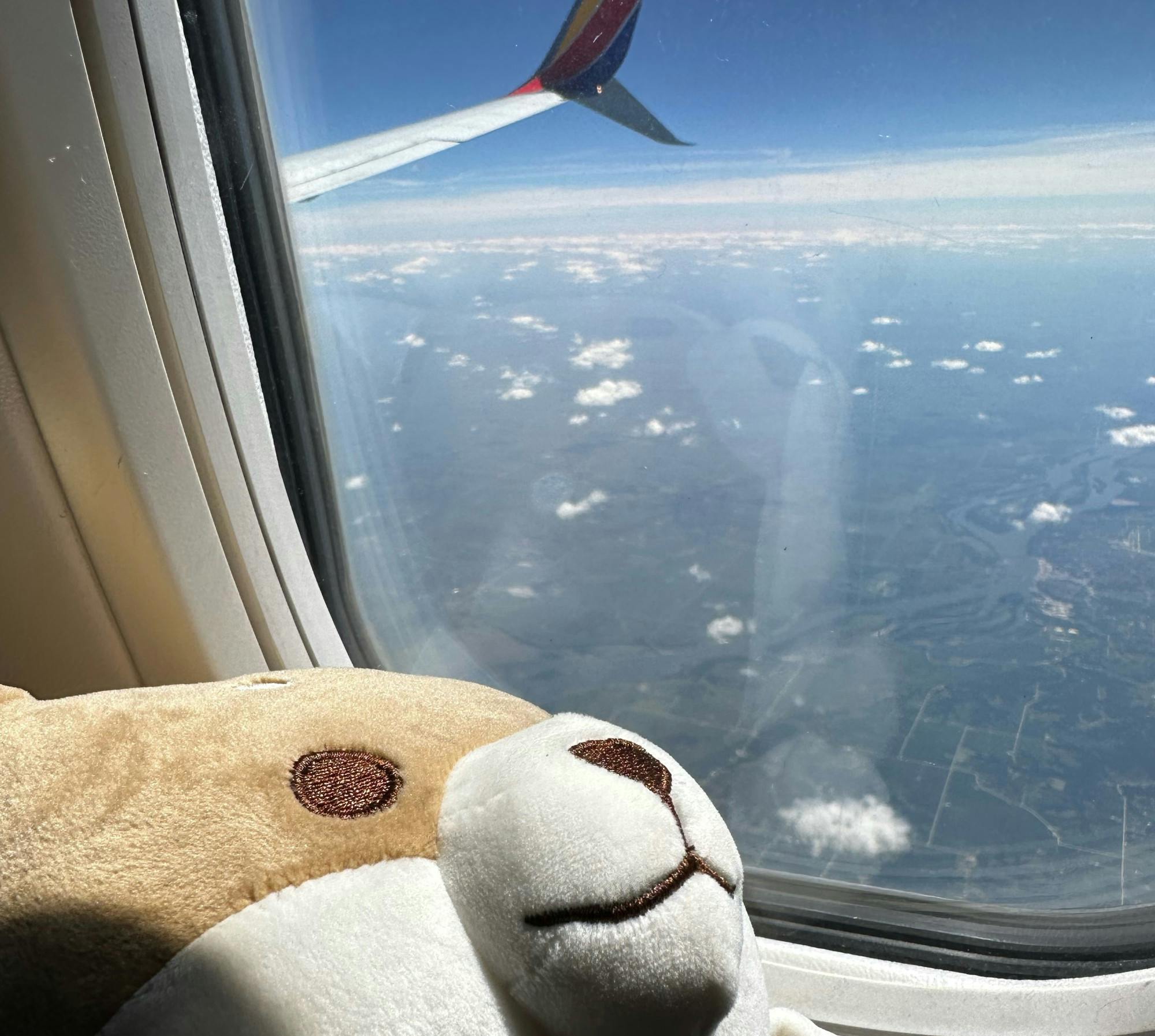 COURTESY OF AYDEN MIN
Min explains her wish to explore the unexperienced yet questions if a one-way ticket is what she truly desires.