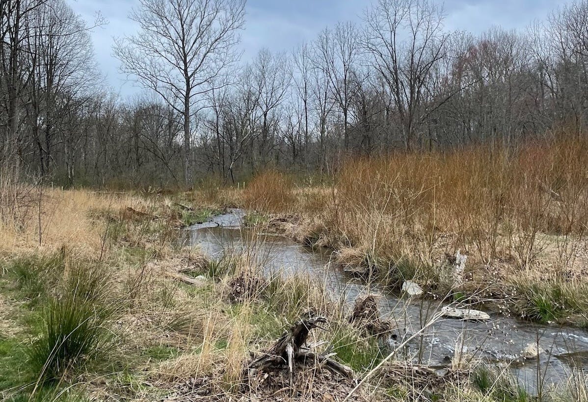 COURTESY OF SARA KAUFMAN
Kaufman reflects on how she has come to appreciate small joys.