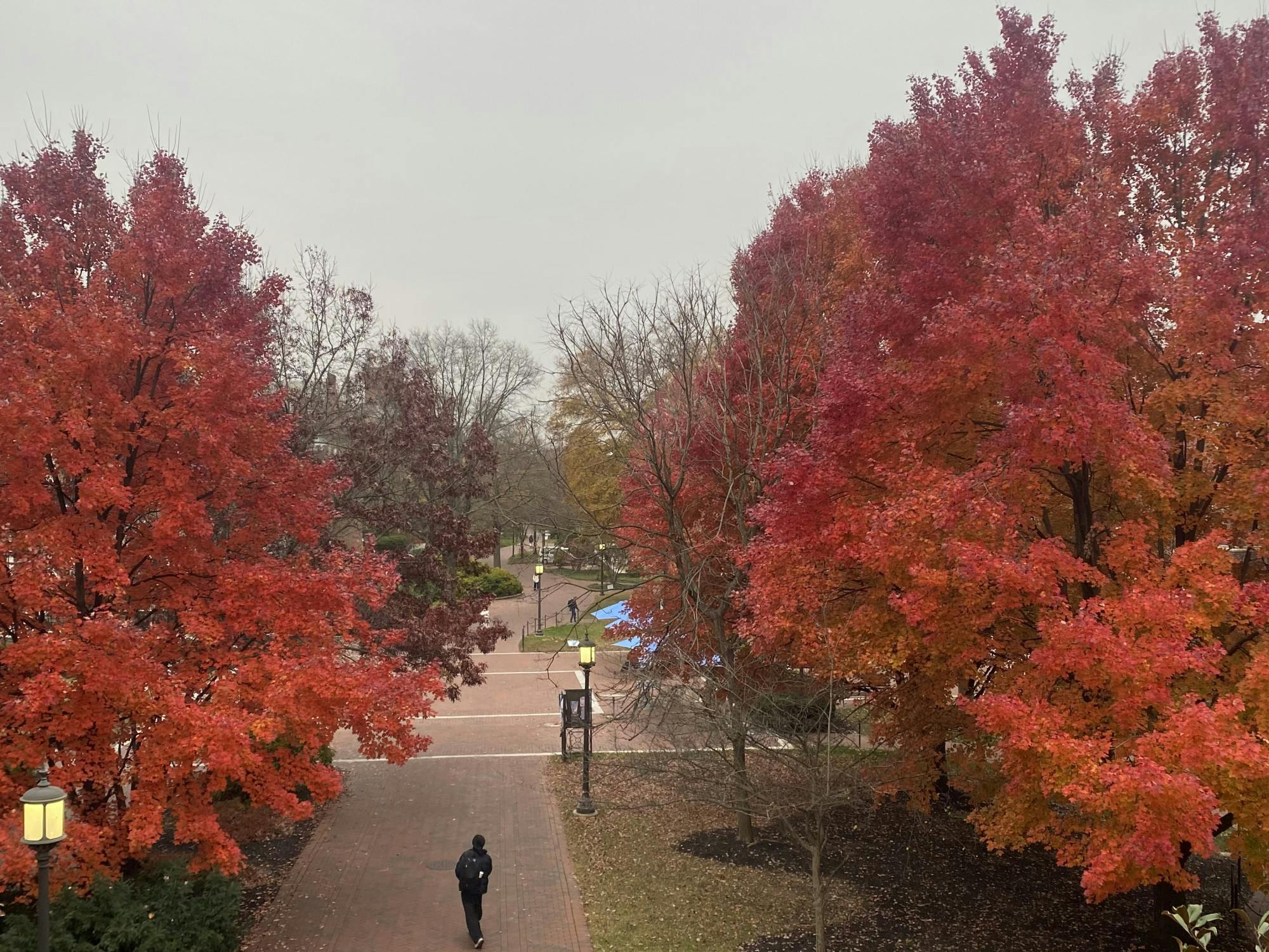 COURTESY OF KAITLIN TAN
Tan observes the variety of emotions that come with Christmas, with fall and with seasons of change.