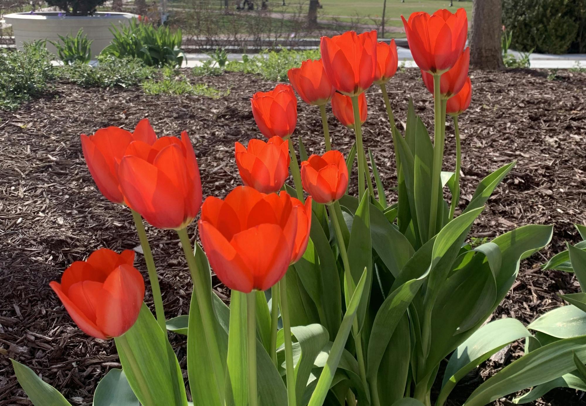 COURTESY OF KATY WILNER
Aghamohammadi delves into memories of who he once was.  