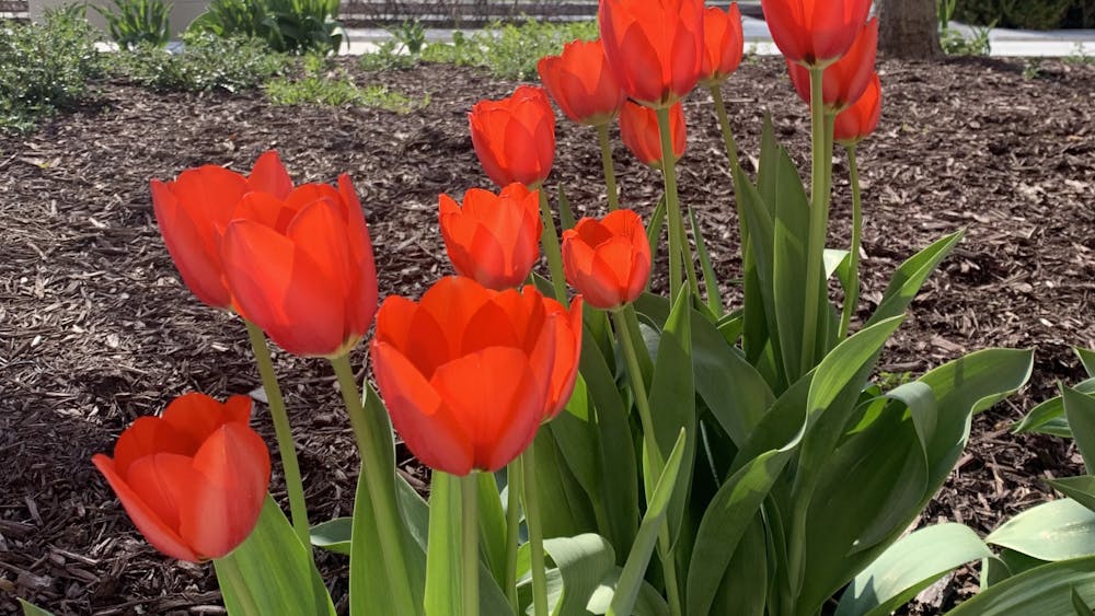 COURTESY OF KATY WILNER
Aghamohammadi delves into memories of who he once was.