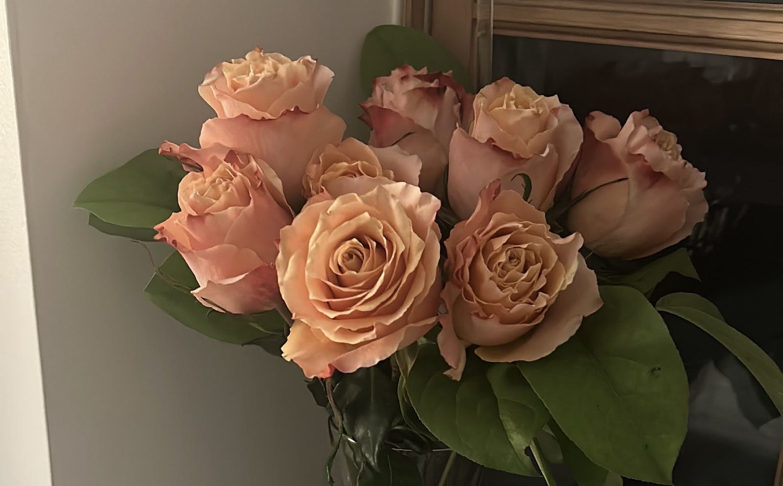 COURTESY OF MYRA SAEED
My September roses, when they’re easy to love and admire.&nbsp;