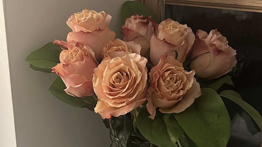 COURTESY OF MYRA SAEED
My September roses, when they’re easy to love and admire. 