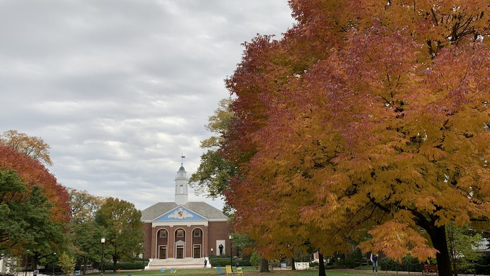 COURTESY OF MICHELLE LIMPE
Graduate students criticize the University’s COVID-19 guidelines for students, citing a lack of transparency and calling for revisions and clarifications.
