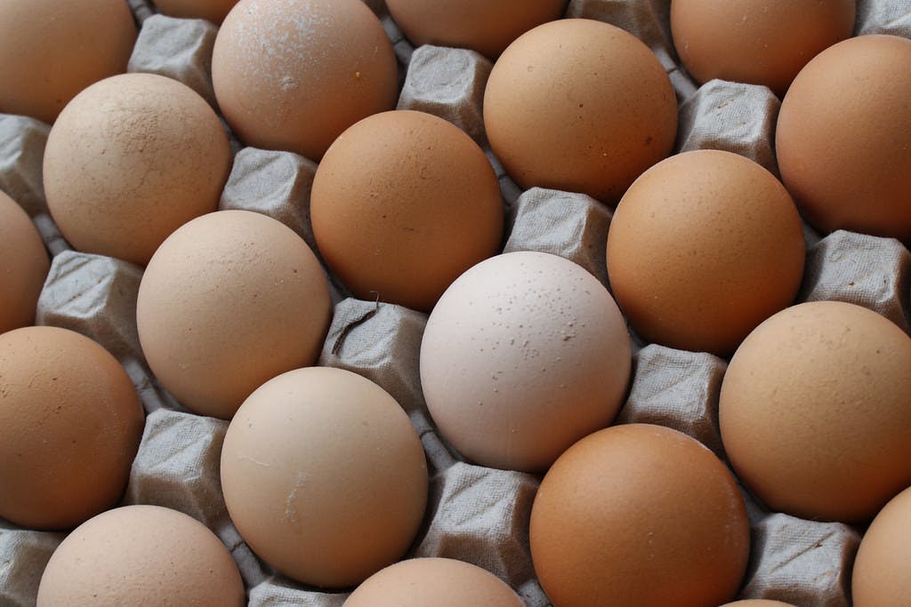 PIETRO IZZO / &nbsp;CC BY-NC-SA 2.0
An outbreak of Highly Pathogenic Avian Influenza (HPAI) is behind the spike in egg prices.