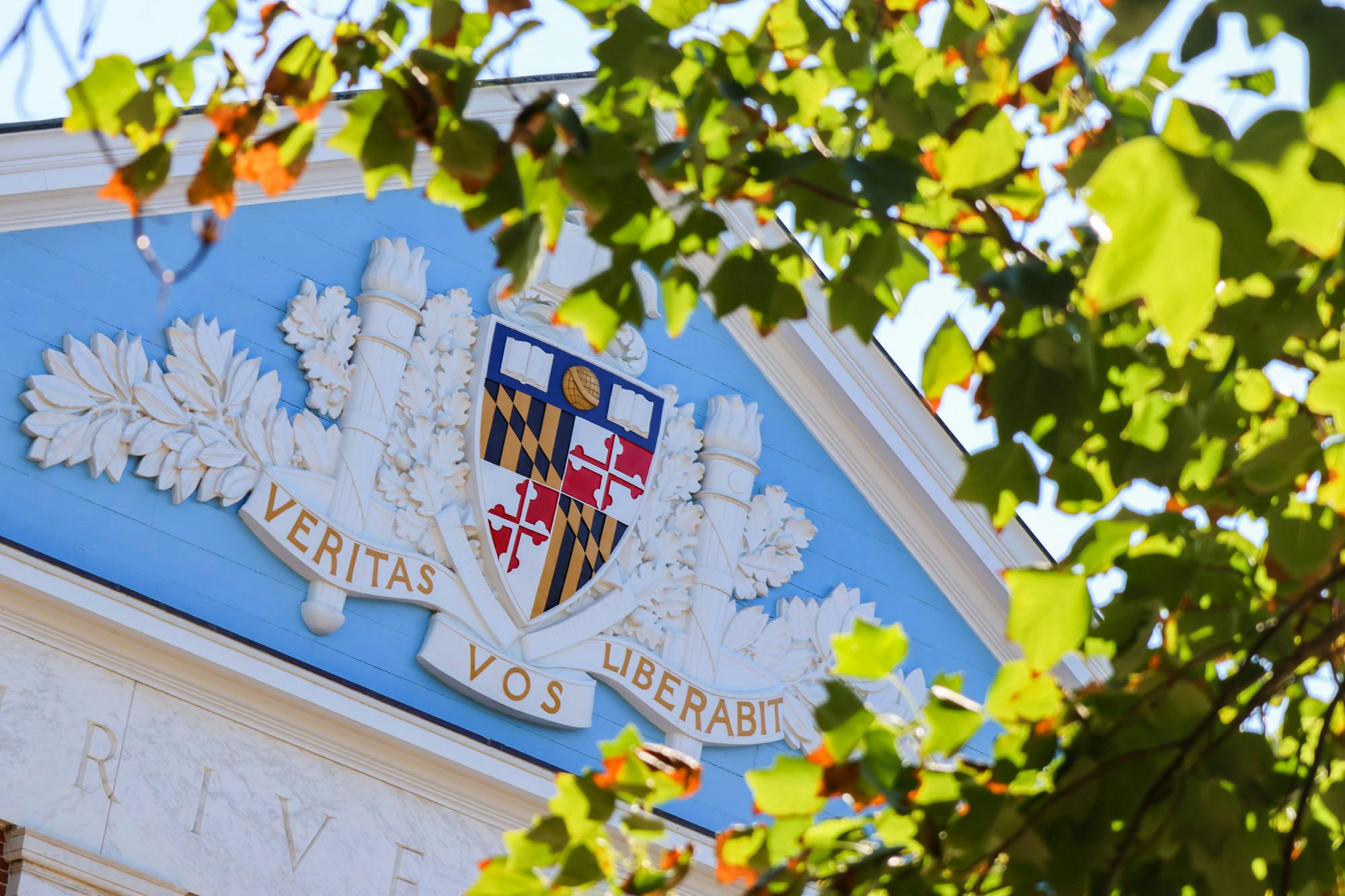 STEVEN SIMPSON / PHOTO EDITOR
In SGA’s weekly meeting, members casted votes for the position of Chair of Fundraising on the School of Arts and Sciences Shared Governance Council.