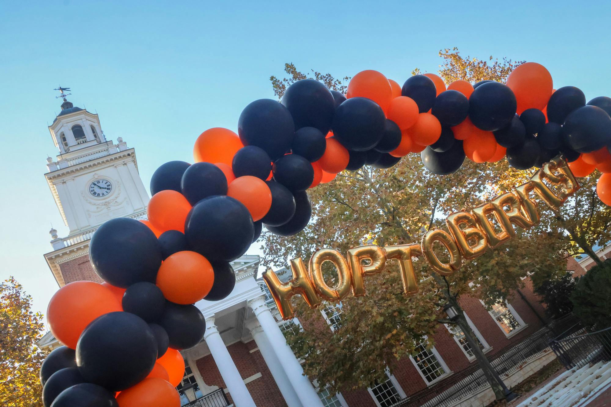 STEVEN SIMPSON / PHOTO EDITOR
This Hoptoberfest featured a petting zoo, fall bouquet making and a pumpkin patch.