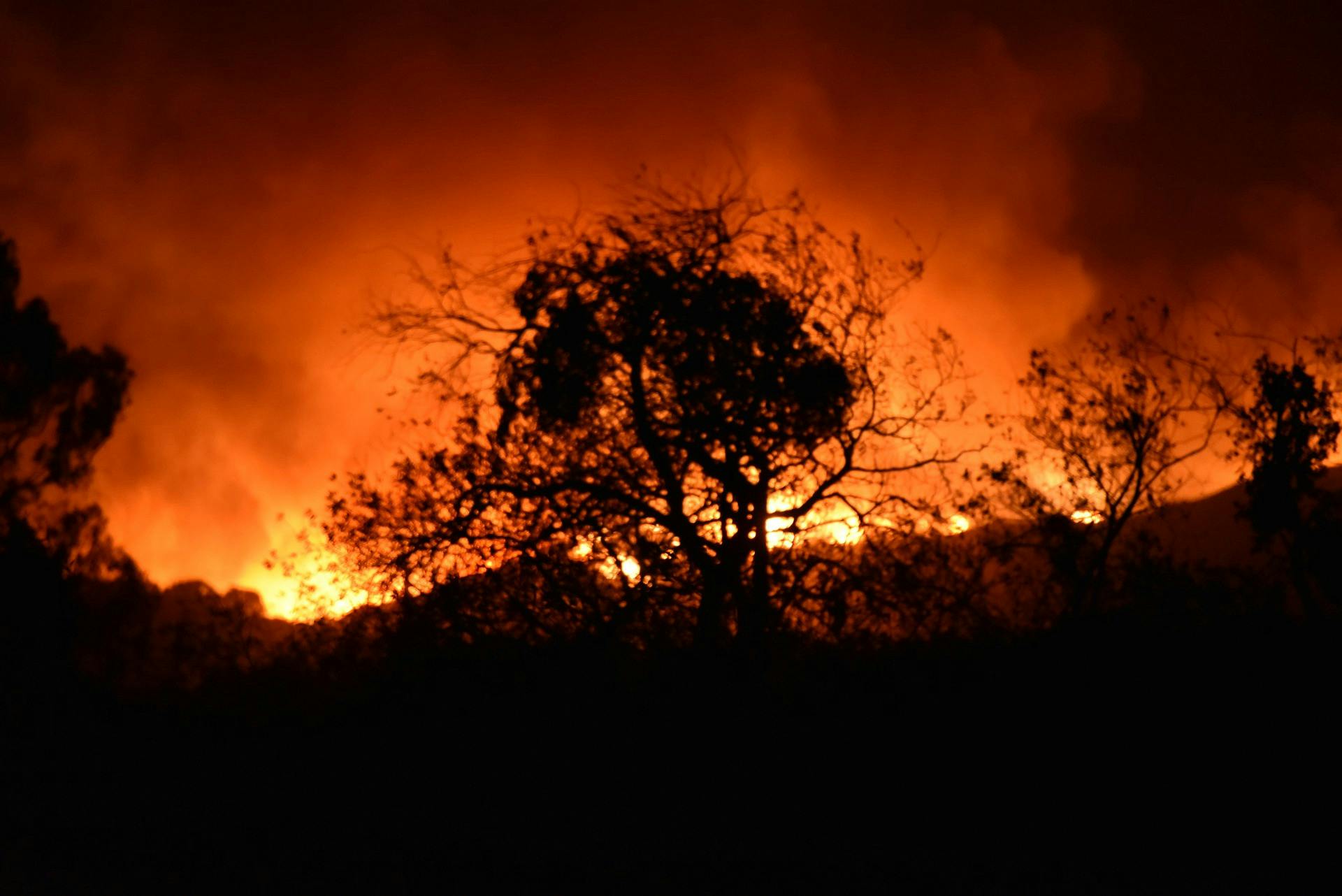 PUBLIC DOMAIN
As wildfires rage on the West Coast, Tie notes that we must remember that Trump isn't the sole culprit of climate change.&nbsp;