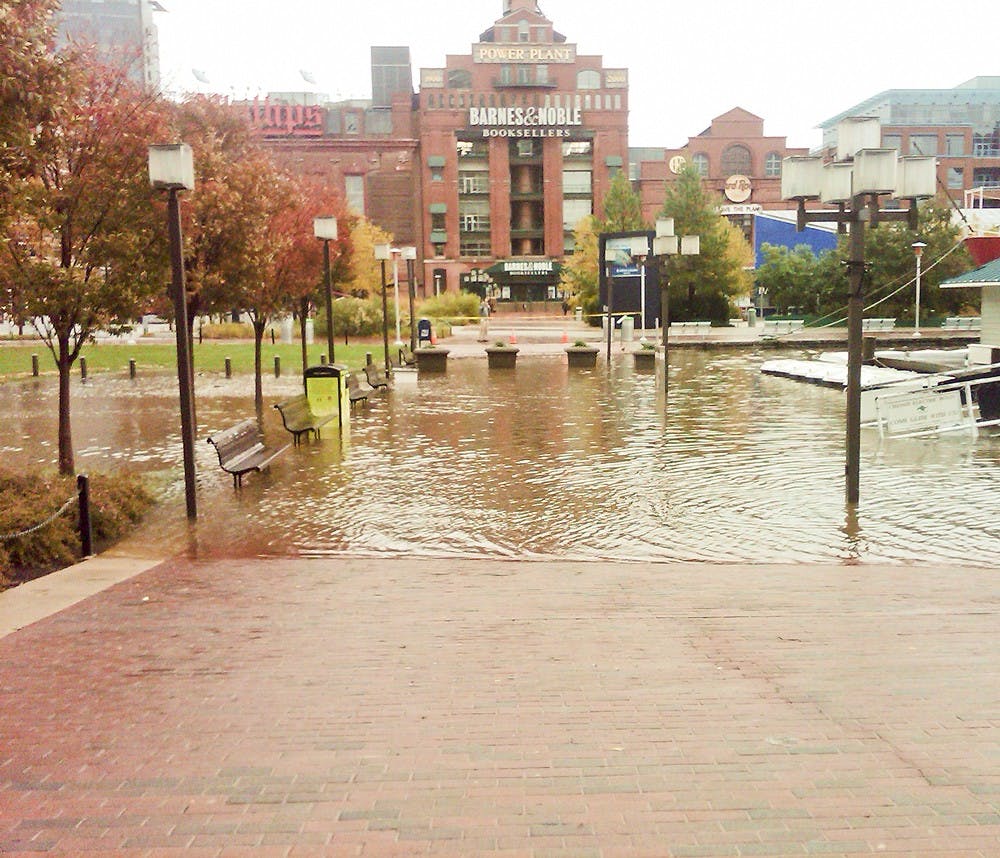 Courtesy of Matthew Hauser