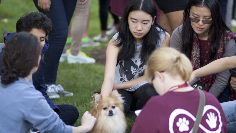  Courtesy of SOFYA FREYMAN
Hoptoberfest brought therapy dogs to the Gilman Quad Wednesday afternoon to help students de-stress.