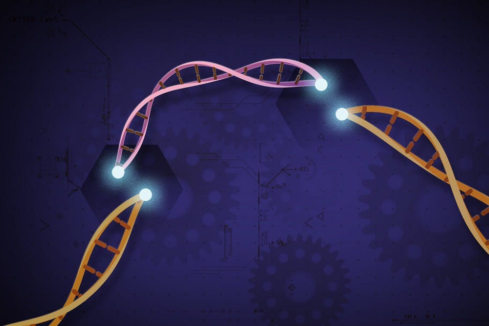 b7-crispr