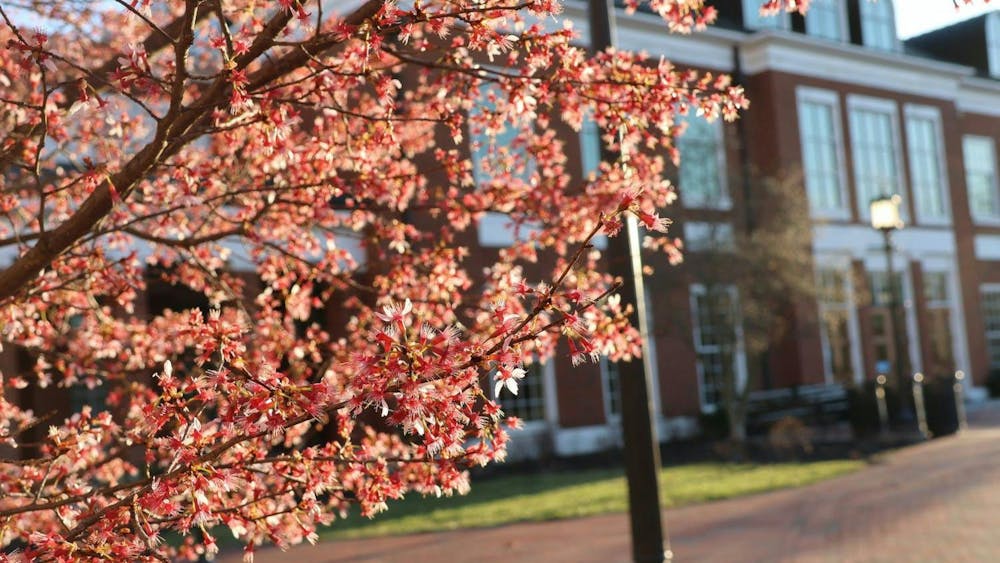 STEVEN SIMPSON / PHOTO EDITOR
As a result of a $1 billion donation from Bloomberg Philanthropies, the tuition of most students at the School of Medicine, starting this fall, will be free. 