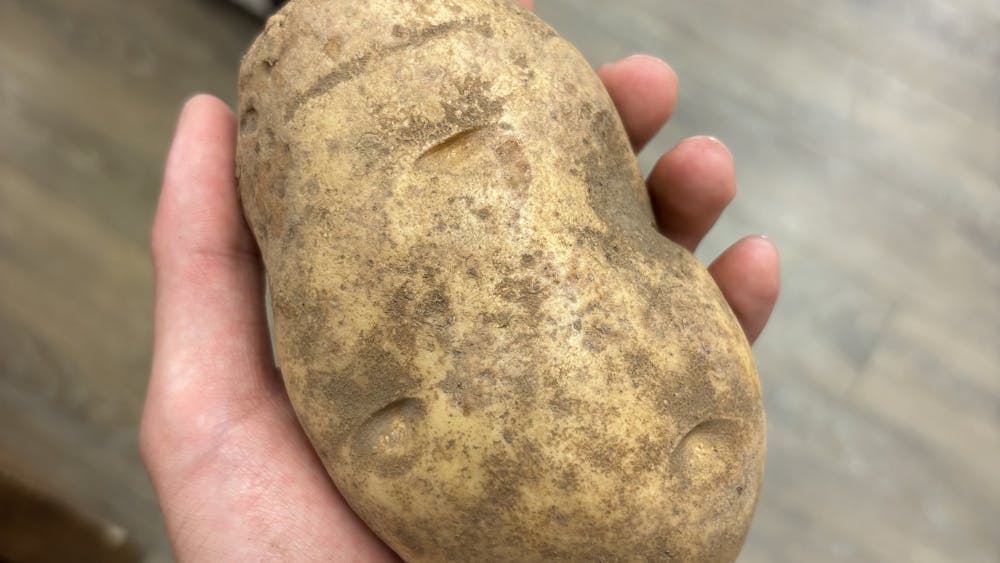 COURTESY OF JASON CHANG
Behold: the potato.