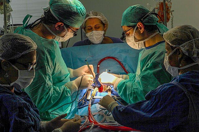 WIKIMEDIA COMMONS / CC BY-SA 4.0
New advances from the Reconstructive Transplantation Program aim to extend organ preservation and expand possibilities for life-changing transplants.