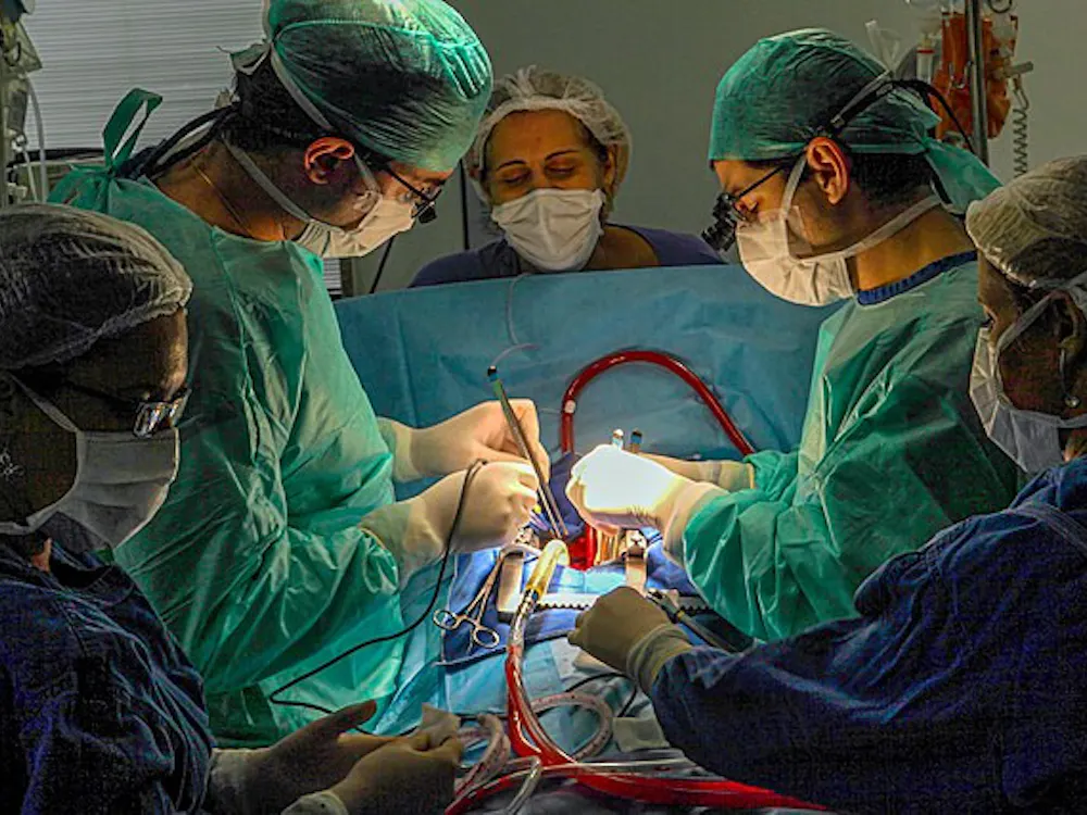 WIKIMEDIA COMMONS / CC BY-SA 4.0
New advances from the Reconstructive Transplantation Program aim to extend organ preservation and expand possibilities for life-changing transplants.