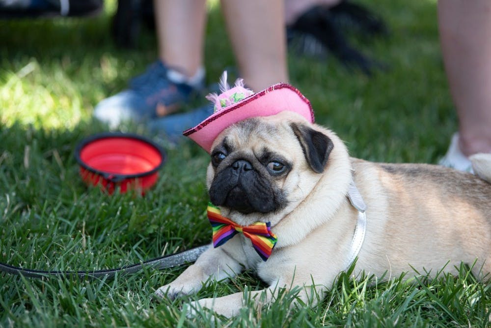 COURTESY OF LARRY CANNER
Baltimore residents celebrate Pride in front of Homewood campus.