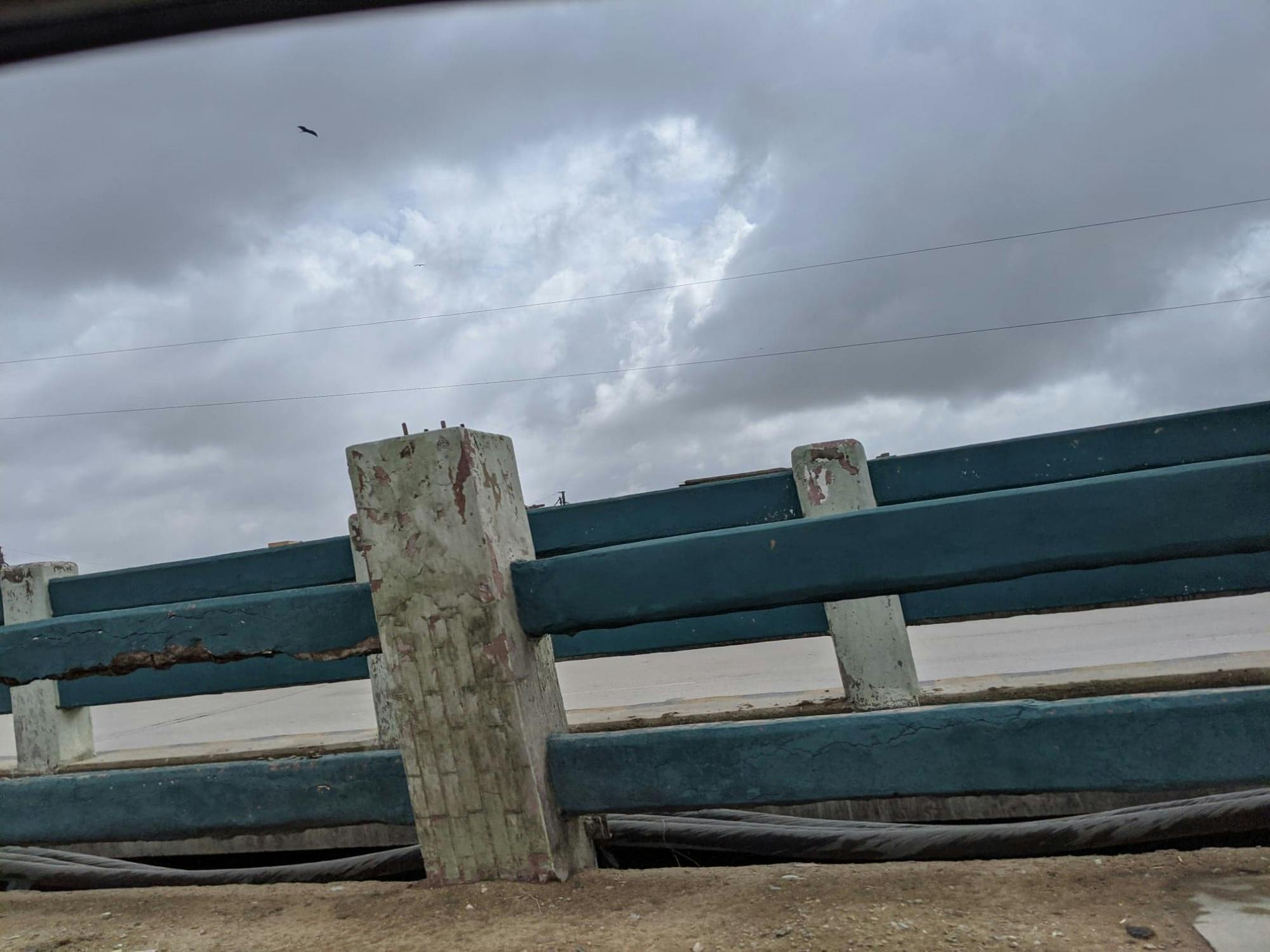 COURTESY OF ZUBIA HASAN
Hasan reflects on the depressing monotony of the current state of affairs.